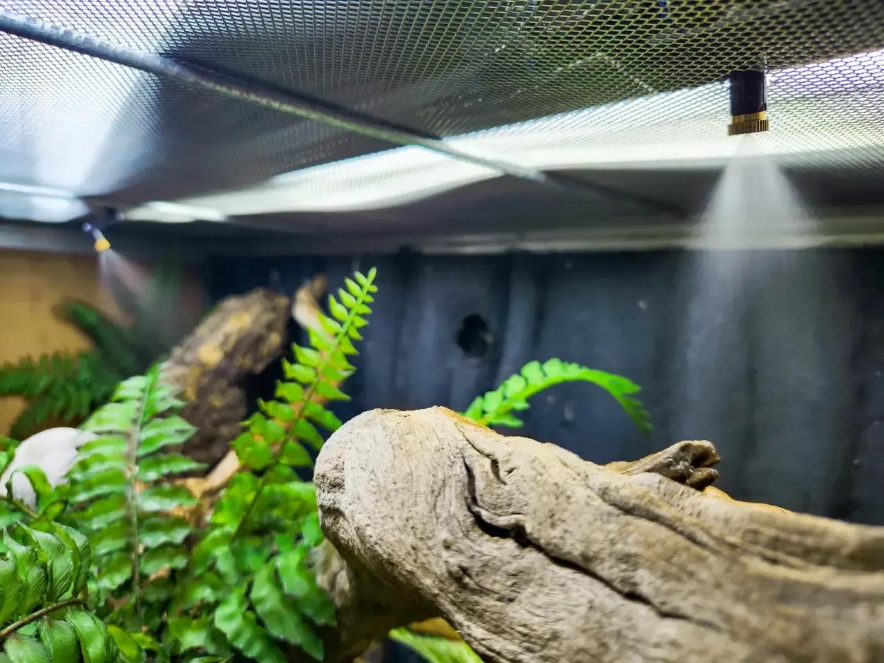 Repti Zoo POCKET Timing Mister System installed in an enclosure 