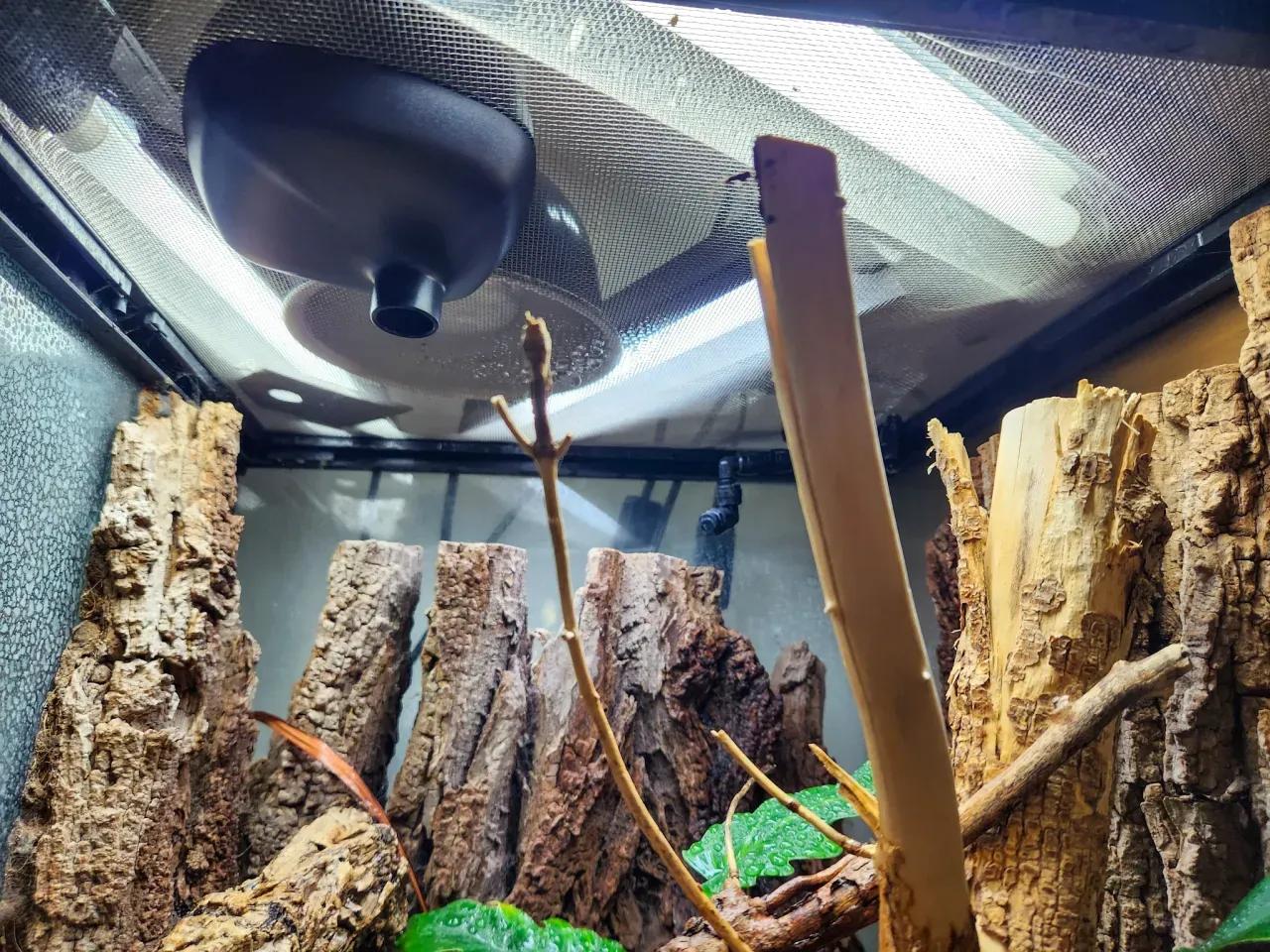 Repti Zoo Air Cool Fan Dehumidifier Installed in an Enclosure