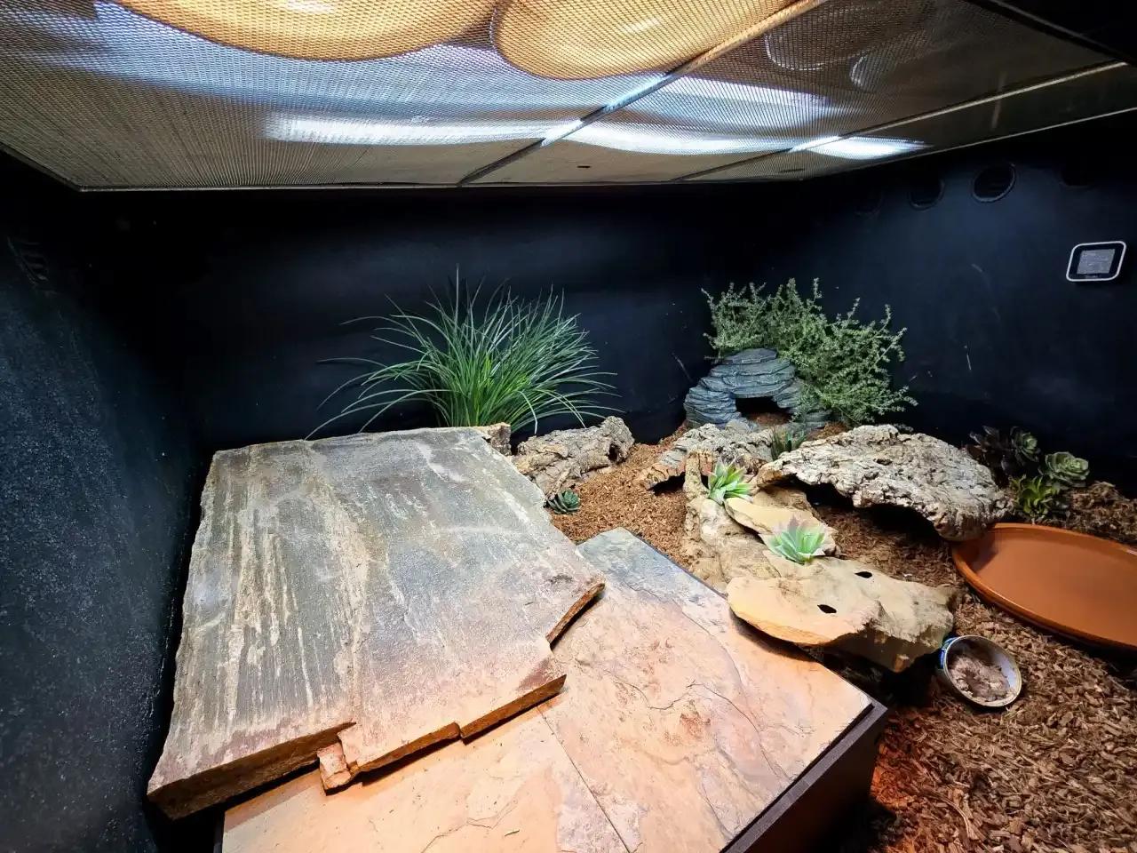 Toad Ranch Bask N Hide in a reptile enclosure