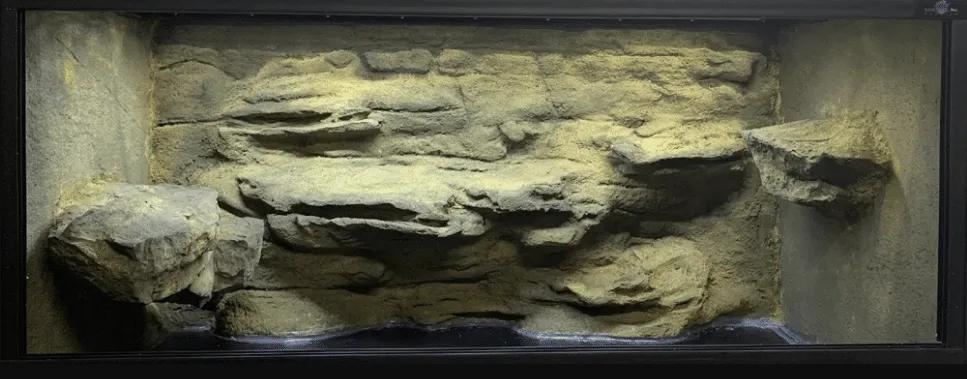 Custom Reptile Habitats 3 Sided Reptile Background Kit installed in an enclosure 