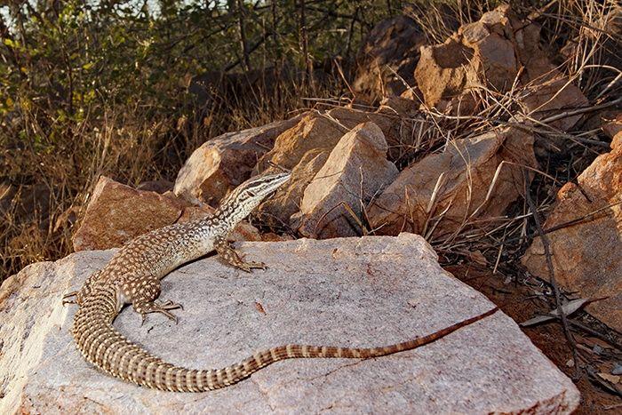 Photo contributed by Anders Zimny