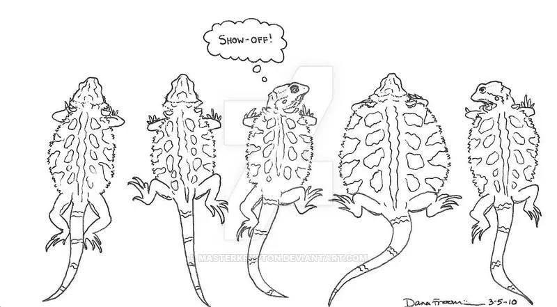 Bearded dragons pancaking