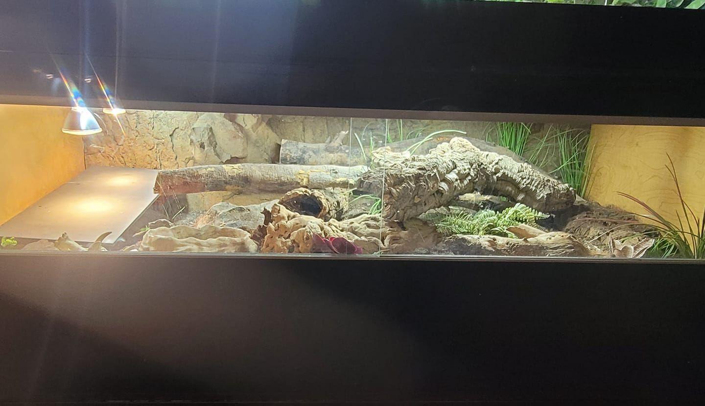 Photo contributed by Ivan Sanchez