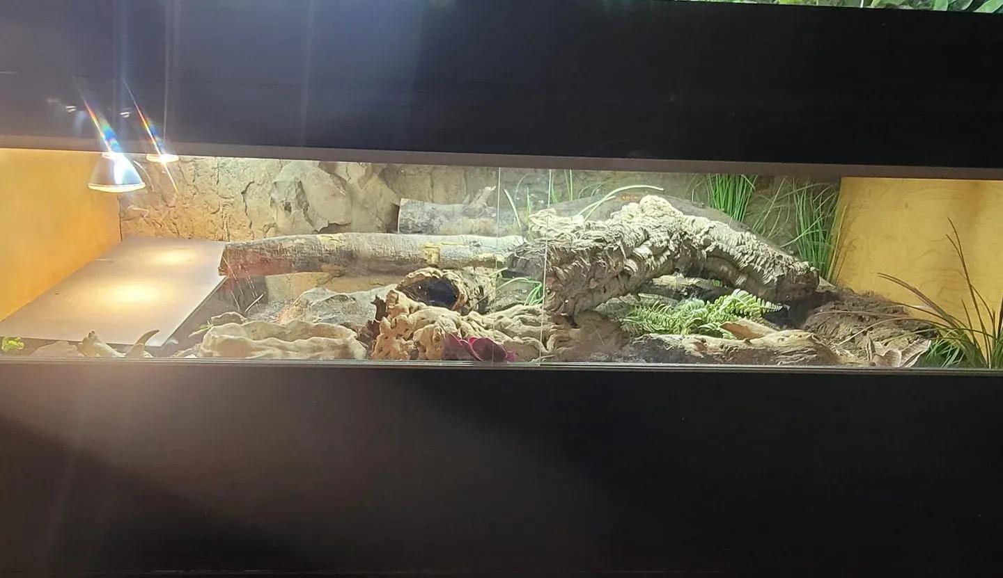 Ivan Sanchez AMK 6x3x3