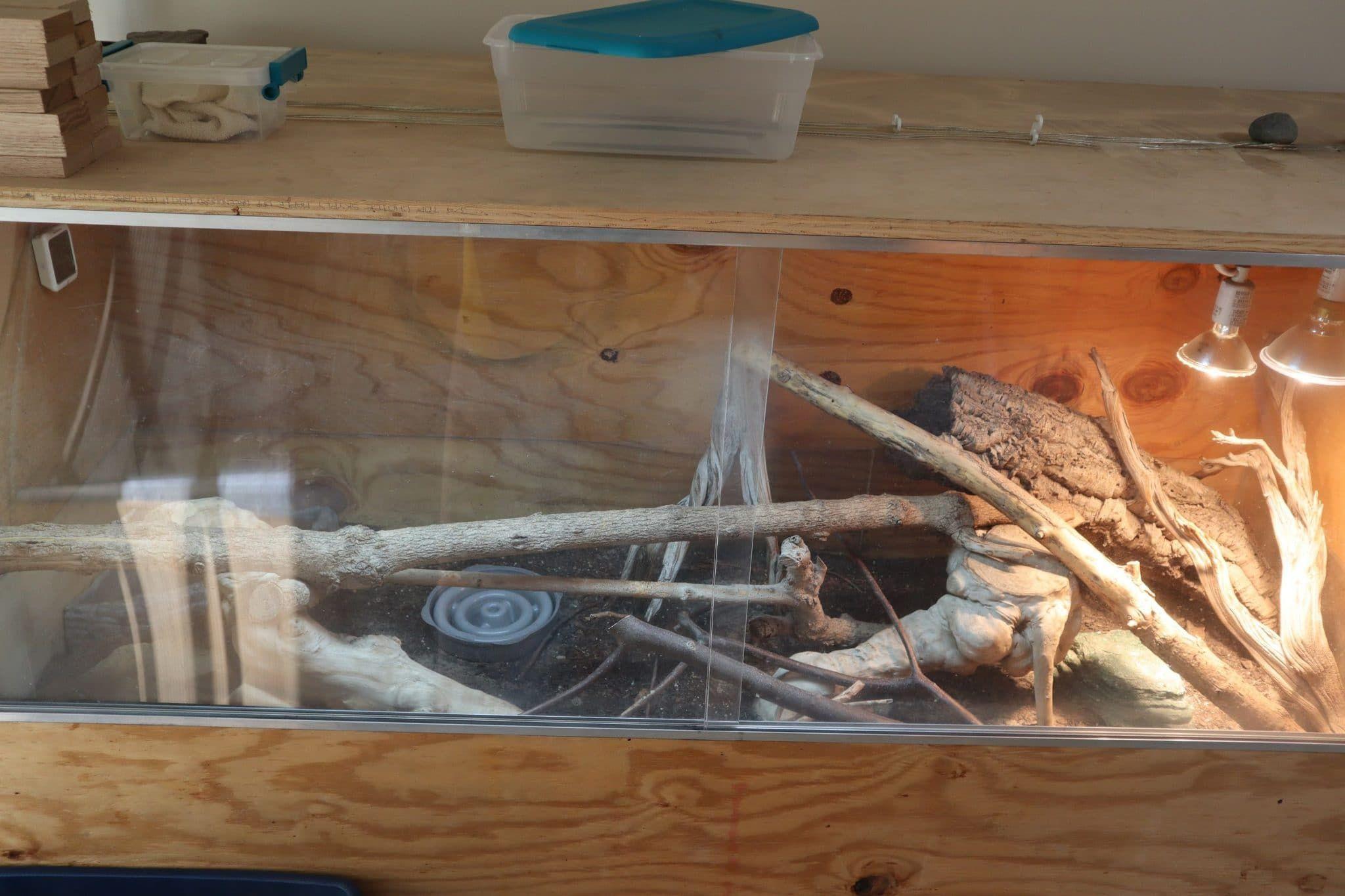 Photo contributed by John Aromando