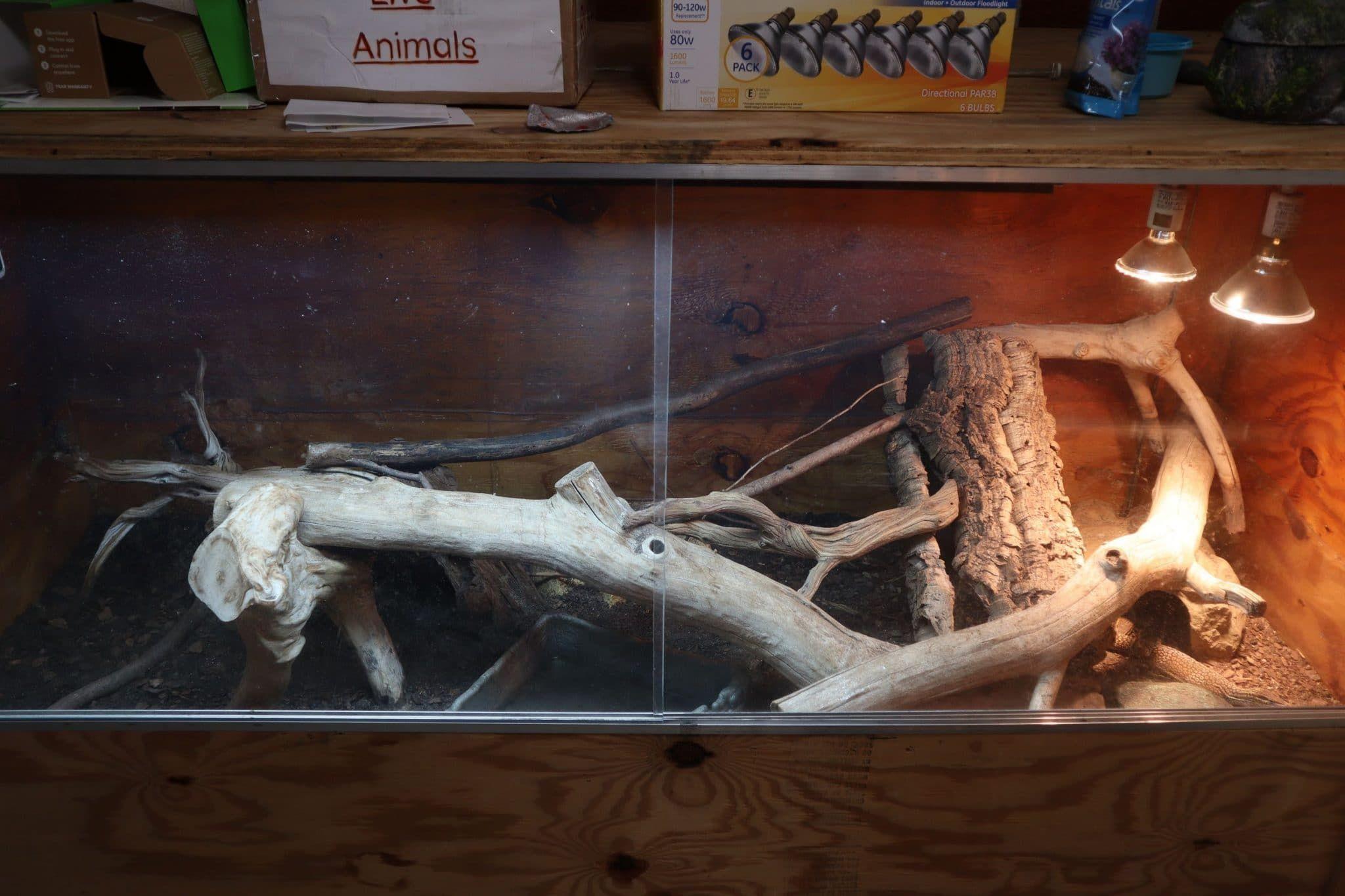 Photo contributed by John Aromando