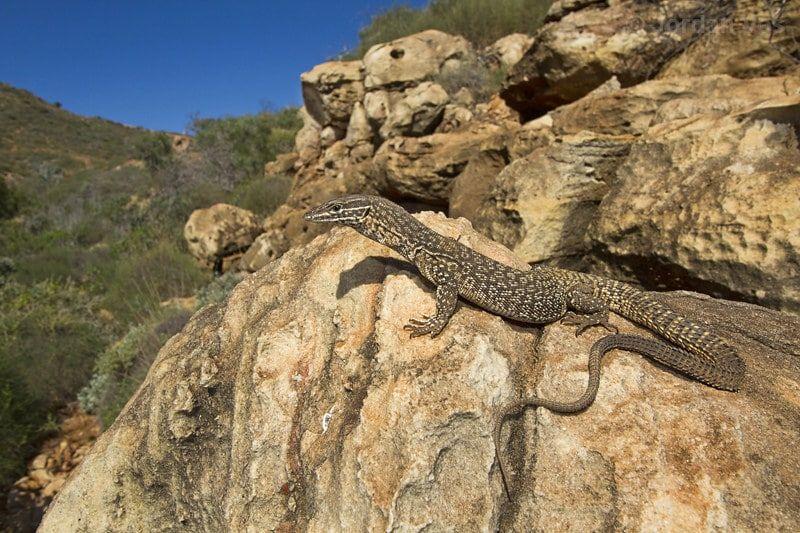 Photo contributed by Jordan Vos