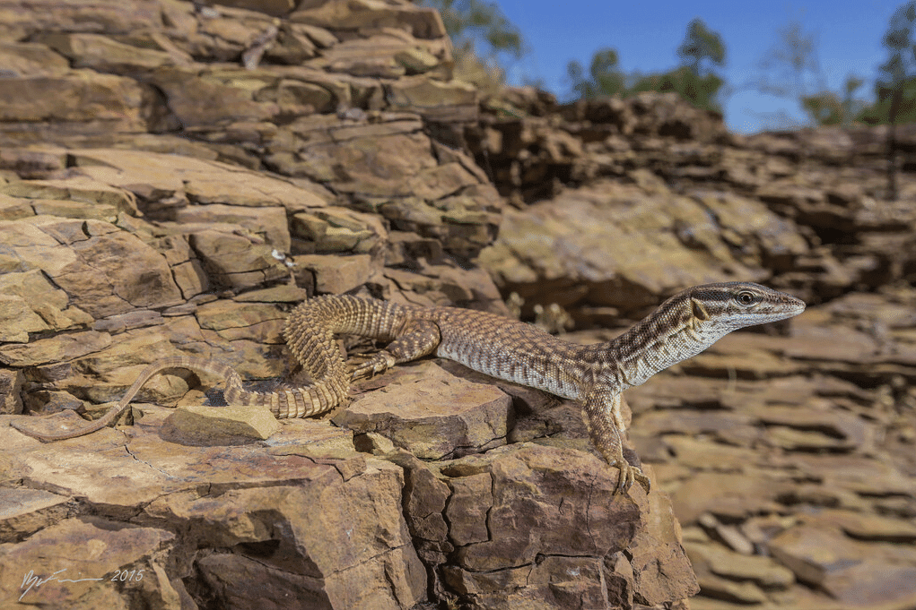 Photo contributed by Ryan Francis Photography