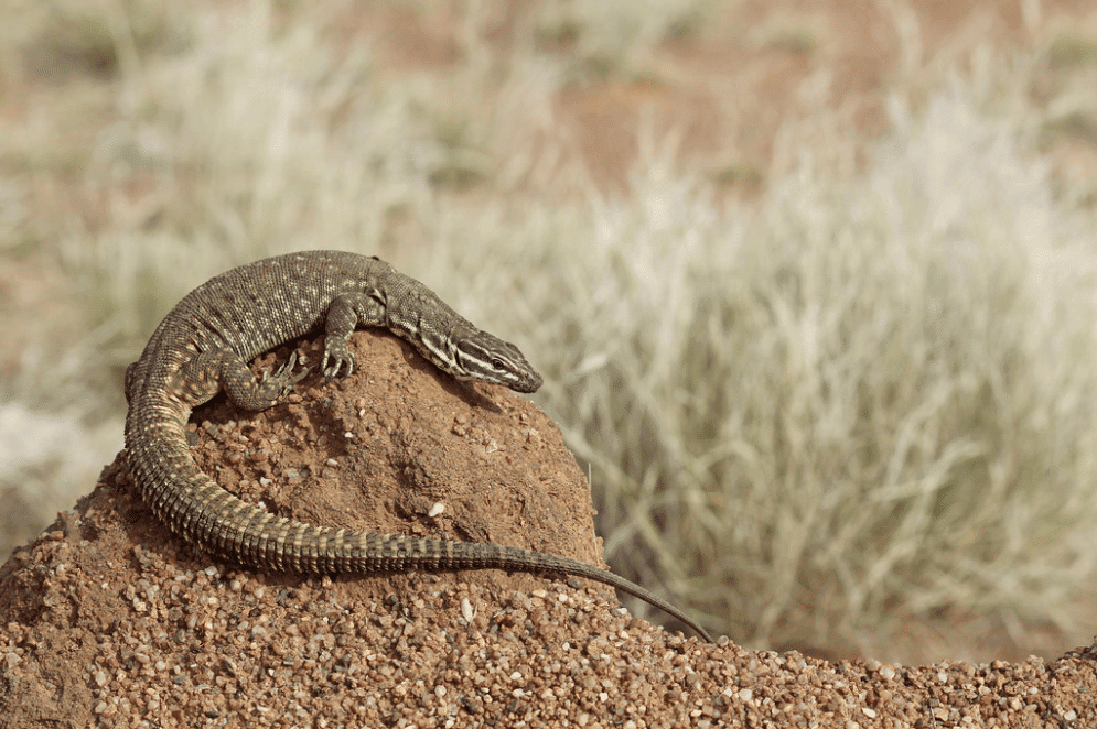 Photo contributed by Ryan Francis Photography