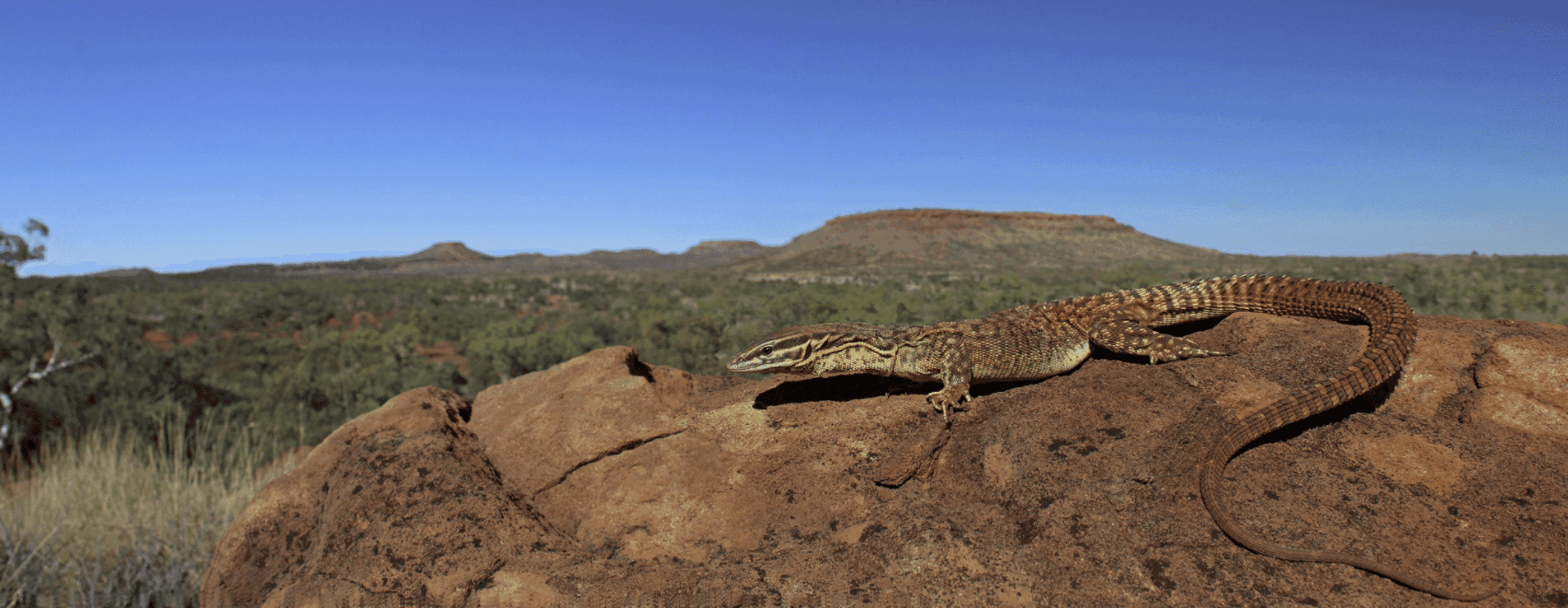 Photo contributed by Ryan Francis Photography