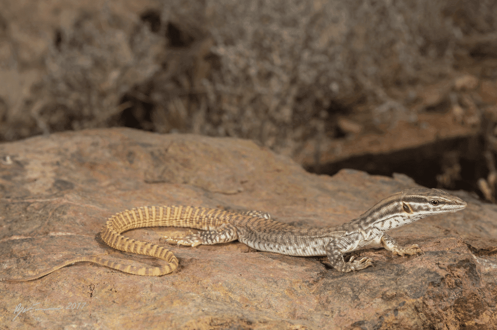 Photo contributed by Ryan Francis Photography