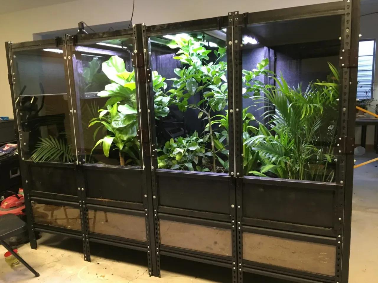 Very large enclosure with plants growing inside