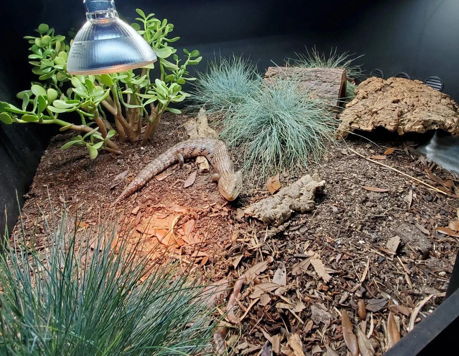 Kairos BTS enclosure 4x3x2