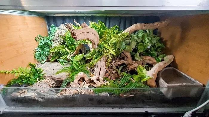 Enclosure filled with decor 