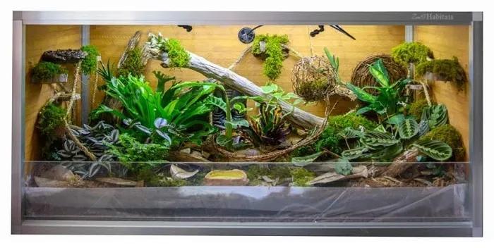 Zen Habitats 4’x2’x2′ Reptile Enclosure set up with decor 