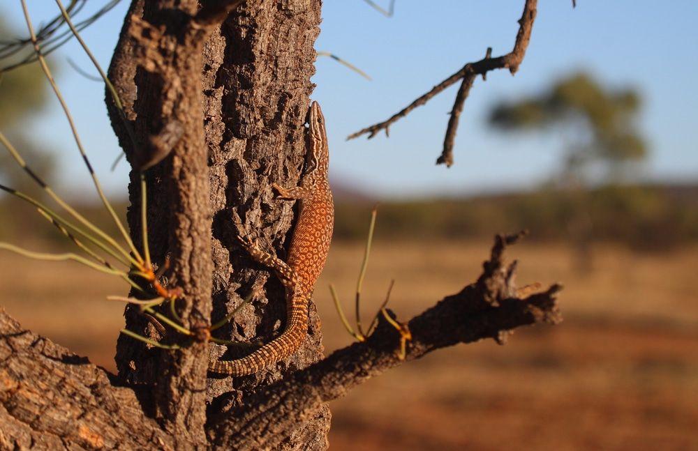 Photo via shutterstock