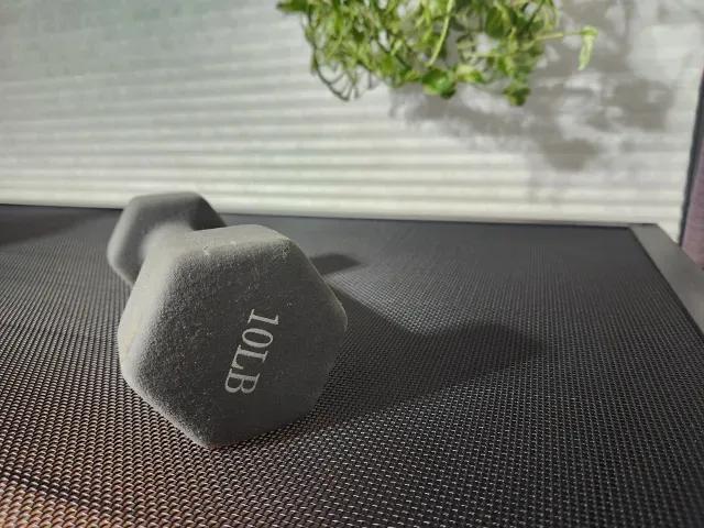 10 pound weight on top of mesh 