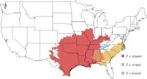 Red-Eared Slider habitat map in the USA