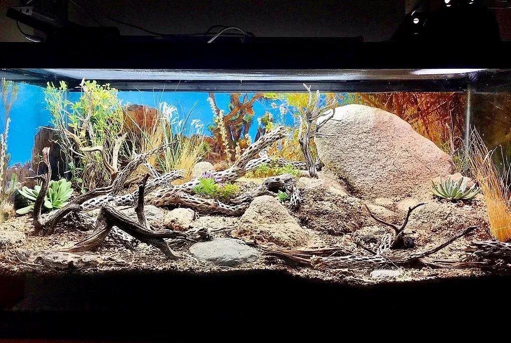 Connor Long, CC BY-SA 4.0 <https://creativecommons.org/licenses/by-sa/4.0>, via Wikimedia Commons