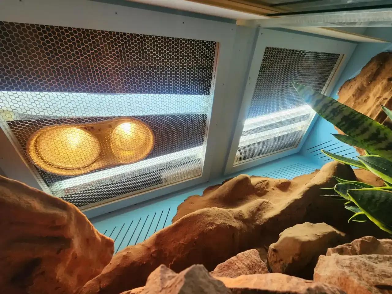 Heat lamp above mesh top