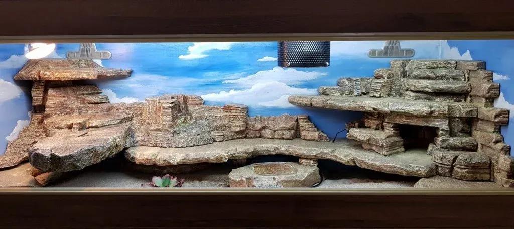 Bearded Dragon enclosure picture Contributed by Bearded Dragons Network