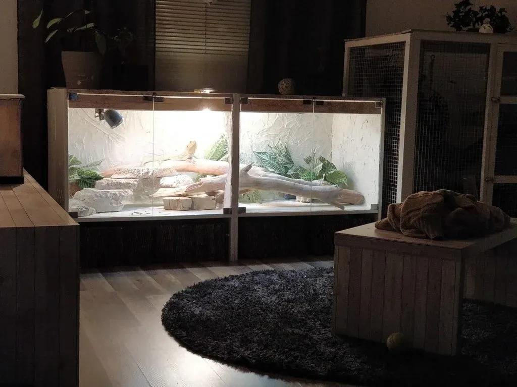 Bearded Dragon enclosure picture Contributed by Bearded Dragons Network