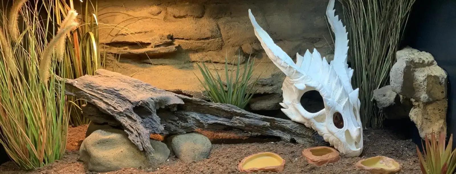 Custom Reptile Habitats Alice Springs 4′ Reptile Décor Kit