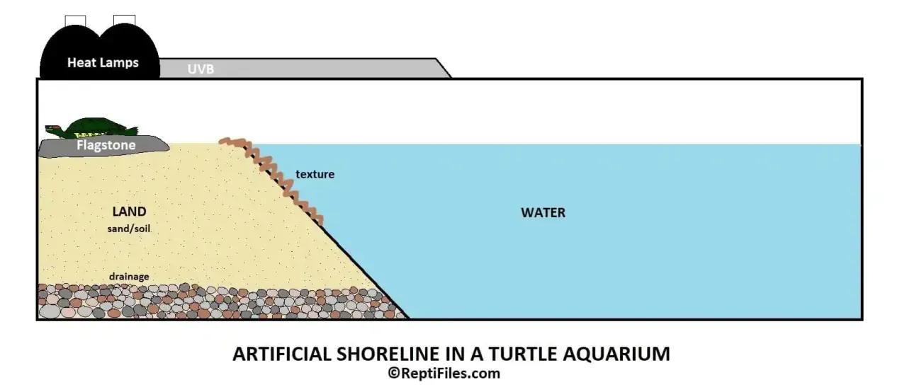 Artificial Shoreline Basking Area Concept Art