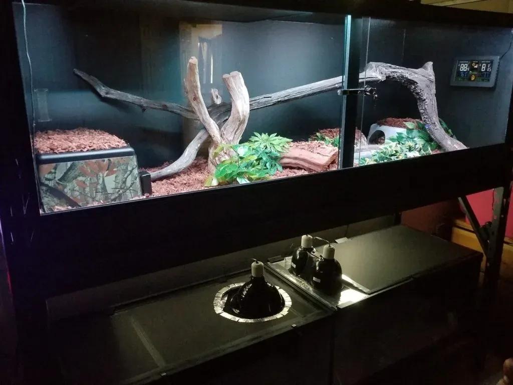 Boa Enclosure Chris Cooper