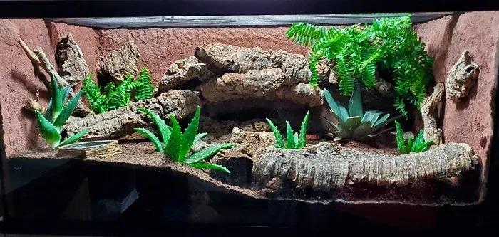 Leopard Gecko Enclosure Photo Contributed by Corey Daniels