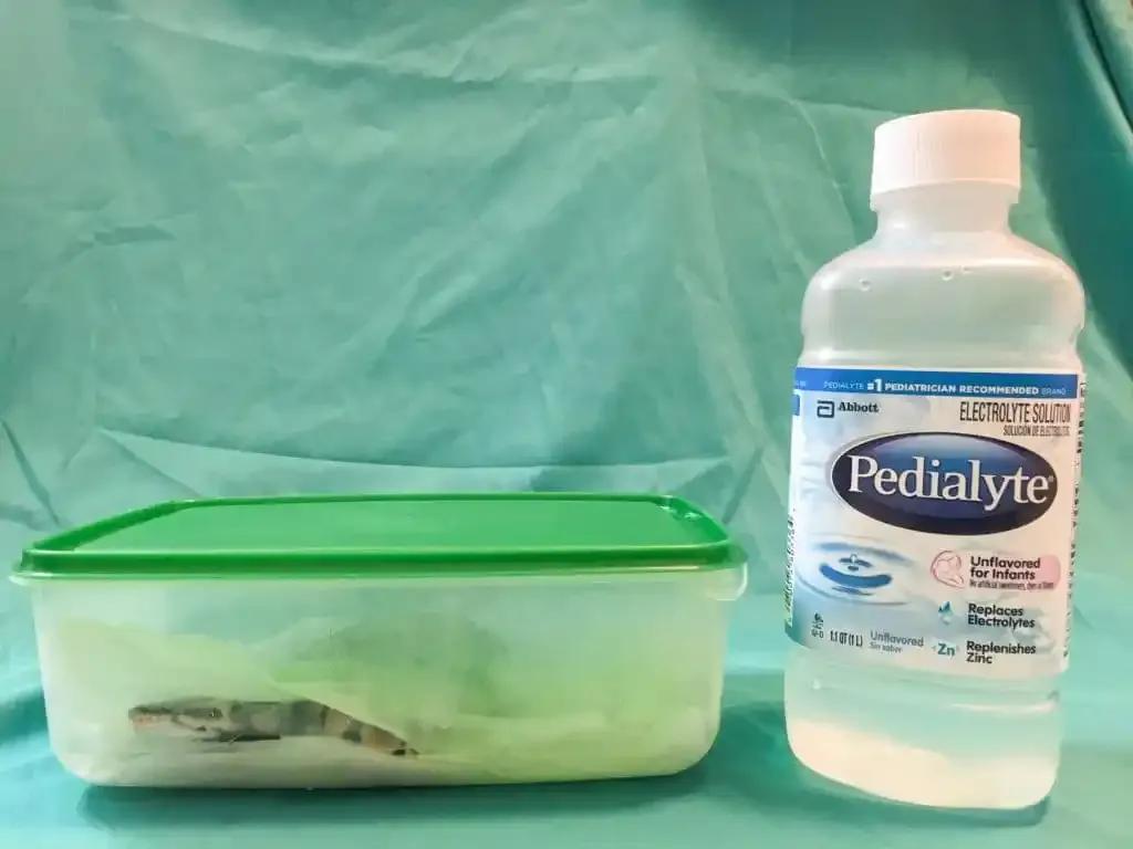 Ball Python Humidity Chamber