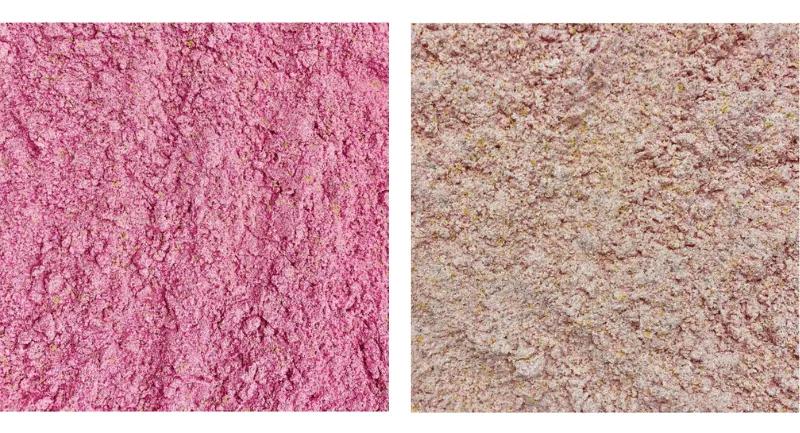 Lugarti Premium Gecko Diet powder in pink and brown