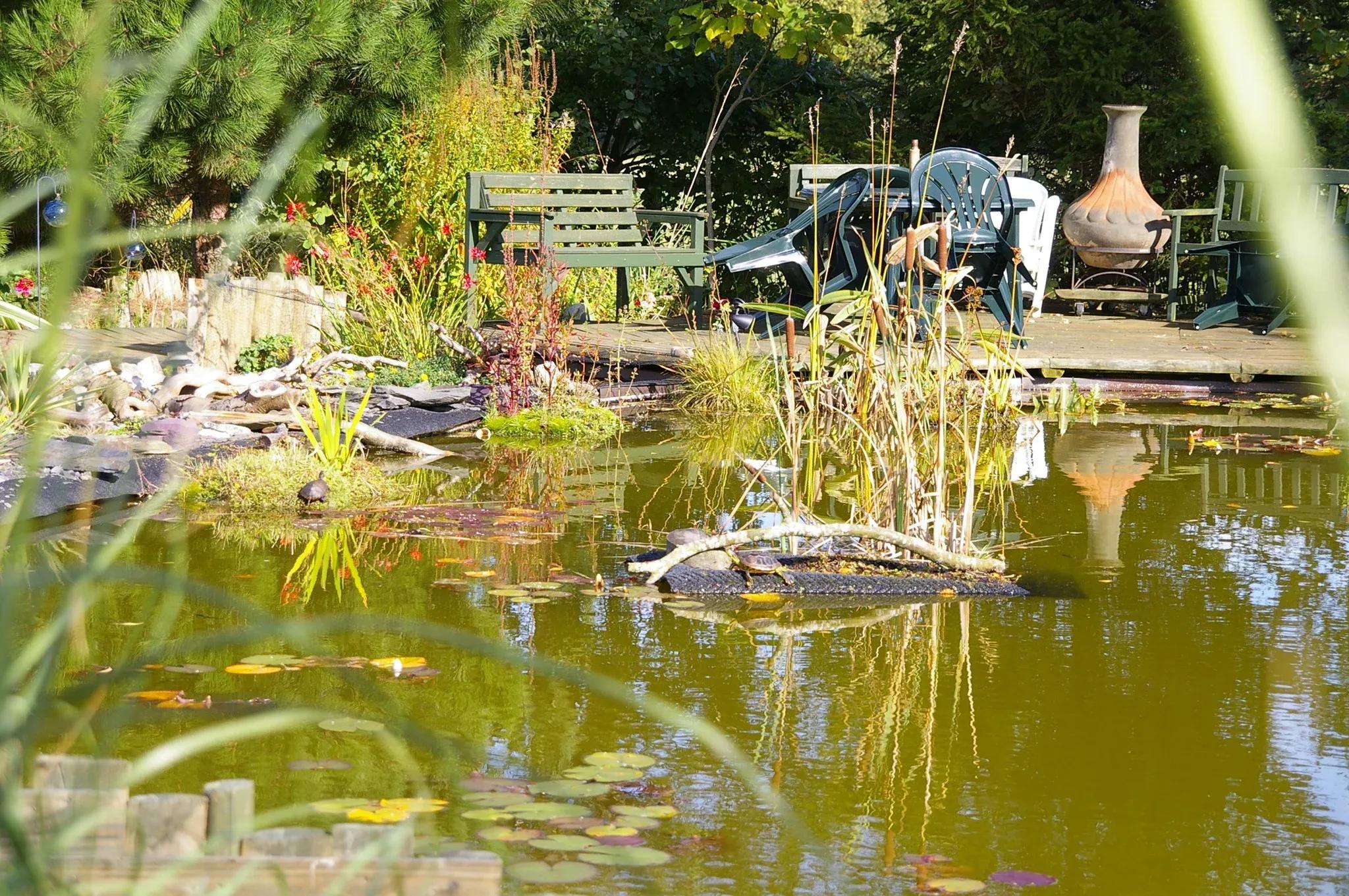 Red-Eared Slider Turtle Tank Photo Contributed by Roman Muryn