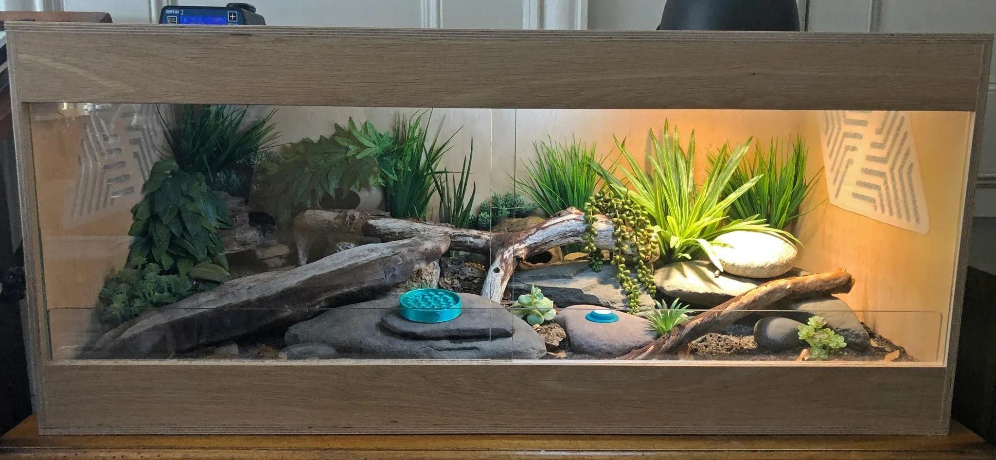 Leopard Gecko Enclosure Photo Contributed by Jenna Cunningham