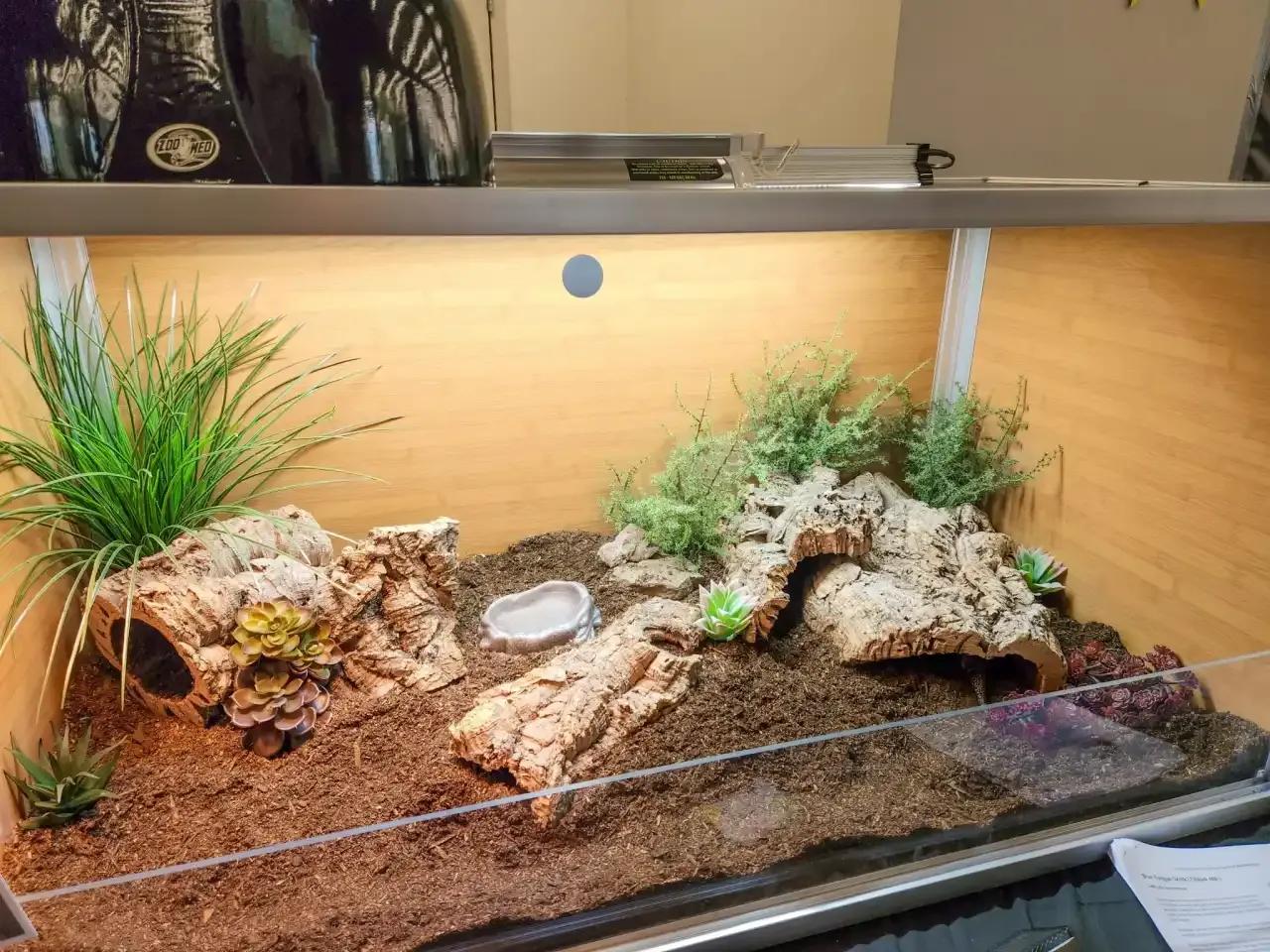 Zen Habitats 4’x2’x2′ Meridian PVC Reptile Enclosure set up with substrate and decor