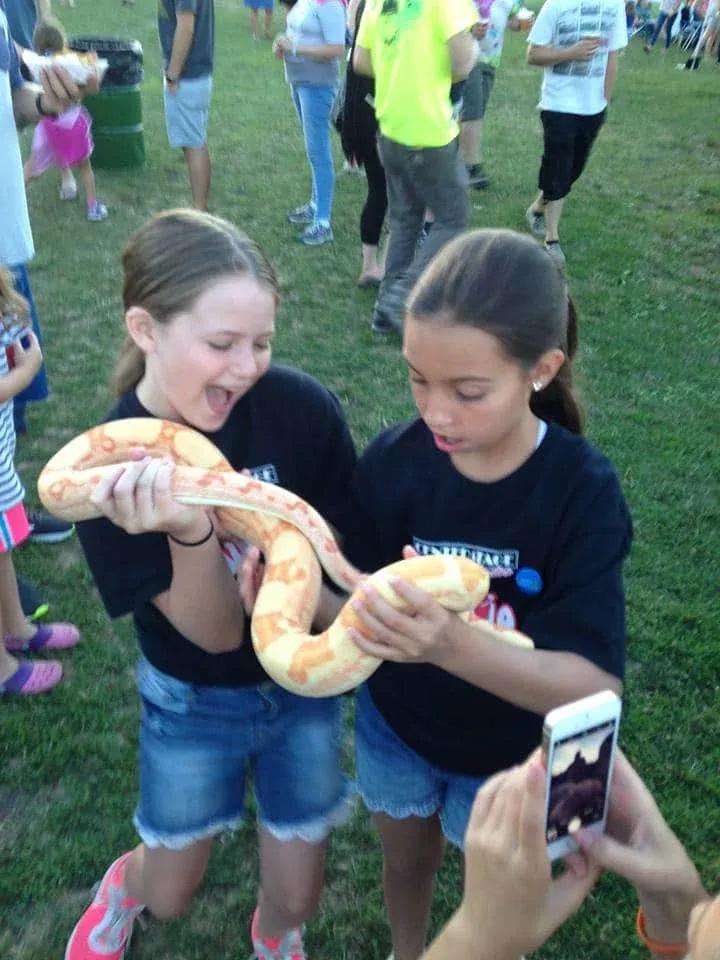 Male Coral Sunglow BCI