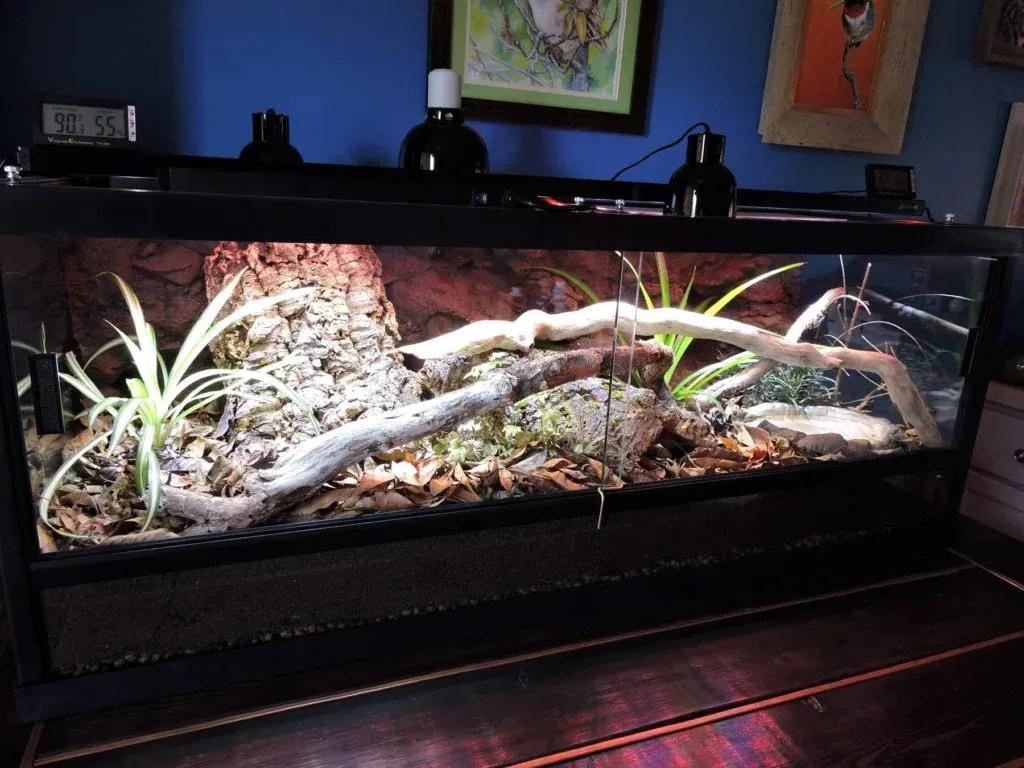 Ball python enclosure Contributed by Shannon Egendoerfer