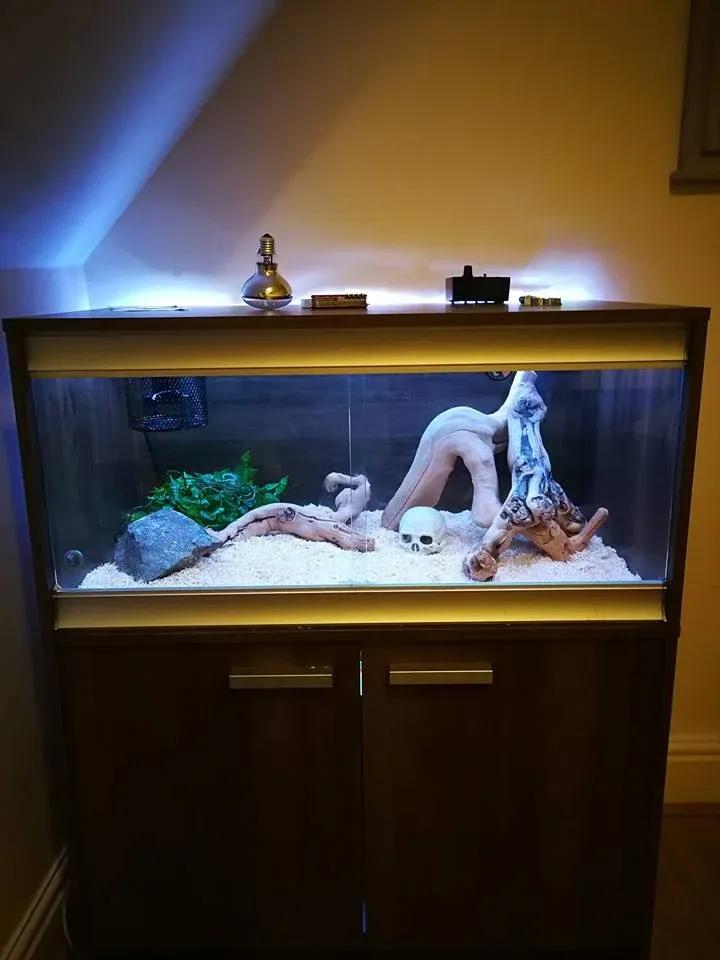 Corn snake enclosure photo Contributed by Tim Harris