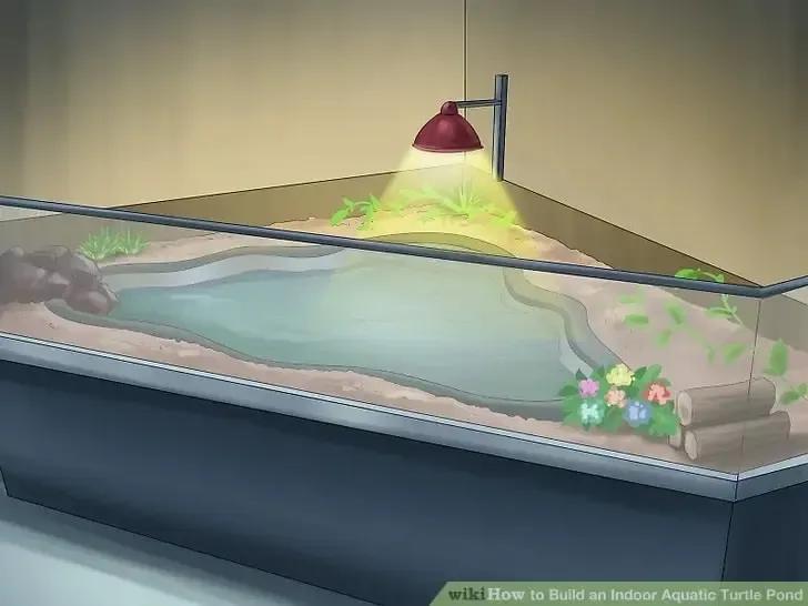 wikihow image of an indoor turtle pond
